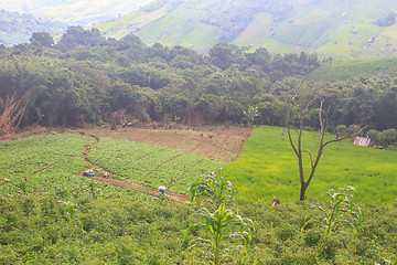 Image showing fields in the mountains