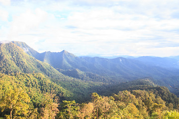 Image showing  green mountains and forest on top veiw