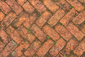 Image showing old red brick floor with moss 