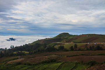 Image showing sea of fog with forests as foreground