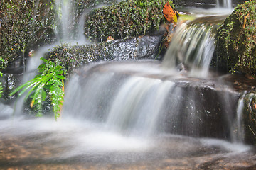 Image showing waterfall and rocks covered with moss