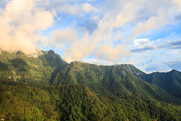 Image showing  green mountains and forest on top veiw