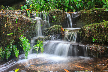 Image showing waterfall and rocks covered with moss