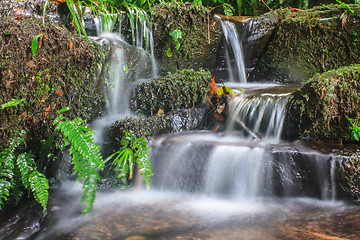 Image showing waterfall and rocks covered with moss