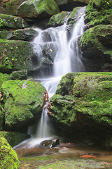 Image showing waterfall and rocks covered with moss