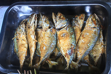 Image showing Fresh mackerel fried in a plat