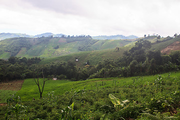 Image showing fields in the mountains