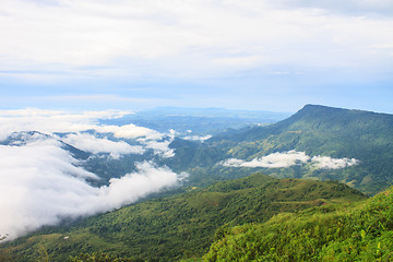 Image showing sea of fog with forests as foreground