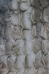 Image showing Textured stone wall