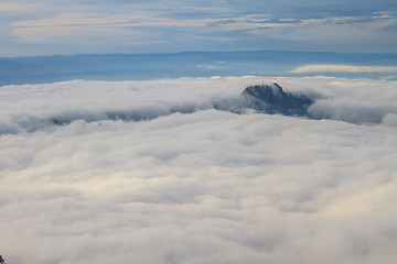 Image showing sea of fog with forests as foreground