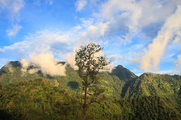 Image showing  green mountains and forest on top veiw