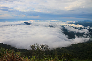 Image showing sea of fog with forests as foreground