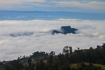 Image showing sea of fog with forests as foreground