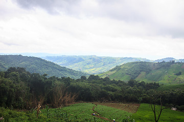 Image showing fields in the mountains