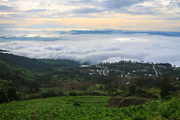 Image showing sea of fog with forests as foreground