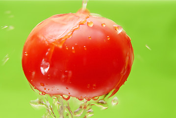 Image showing Tomato