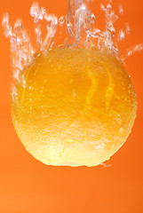 Image showing Orange