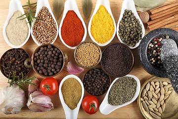 Image showing Spices.