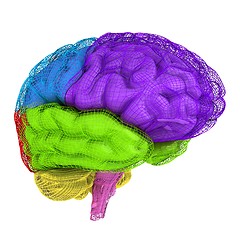 Image showing Creative concept of the human brain