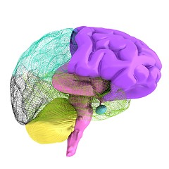 Image showing Creative concept of the human brain