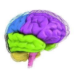 Image showing Creative concept of the human brain