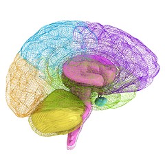 Image showing Creative concept of the human brain