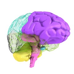 Image showing Creative concept of the human brain