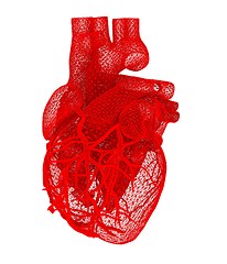 Image showing Human heart