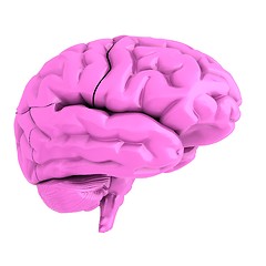 Image showing human brain