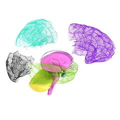 Image showing Creative concept of the human brain