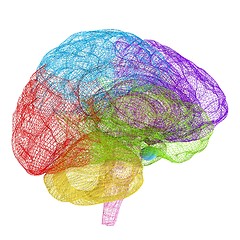 Image showing Creative concept of the human brain