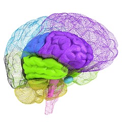 Image showing Creative concept of the human brain