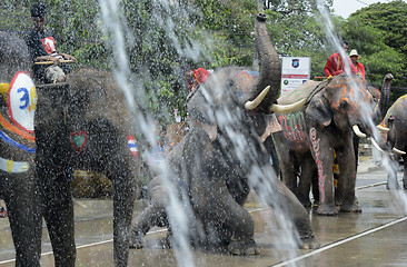 Image showing ASIA THAILAND AYUTTHAYA SONGKRAN FESTIVAL