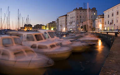 Image showing piran