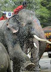 Image showing ASIA THAILAND AYUTTHAYA SONGKRAN FESTIVAL