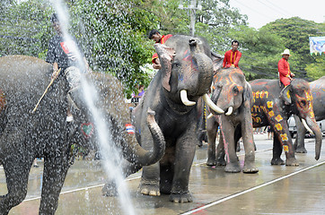 Image showing ASIA THAILAND AYUTTHAYA SONGKRAN FESTIVAL