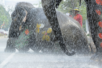 Image showing ASIA THAILAND AYUTTHAYA SONGKRAN FESTIVAL