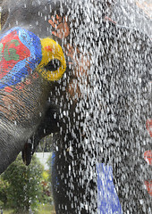 Image showing ASIA THAILAND AYUTTHAYA SONGKRAN FESTIVAL