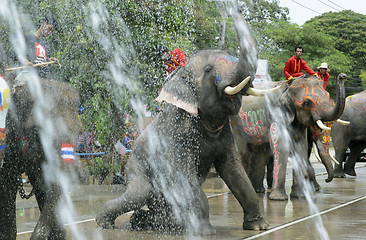 Image showing ASIA THAILAND AYUTTHAYA SONGKRAN FESTIVAL