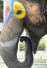 Image showing ASIA THAILAND AYUTTHAYA SONGKRAN FESTIVAL