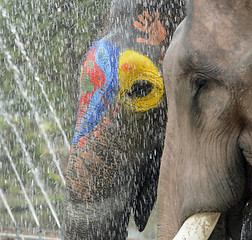 Image showing ASIA THAILAND AYUTTHAYA SONGKRAN FESTIVAL