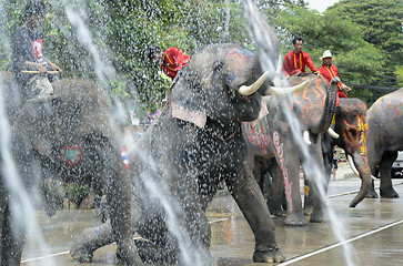 Image showing ASIA THAILAND AYUTTHAYA SONGKRAN FESTIVAL