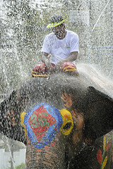 Image showing ASIA THAILAND AYUTTHAYA SONGKRAN FESTIVAL