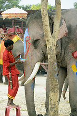 Image showing ASIA THAILAND AYUTTHAYA SONGKRAN FESTIVAL