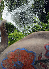 Image showing ASIA THAILAND AYUTTHAYA SONGKRAN FESTIVAL