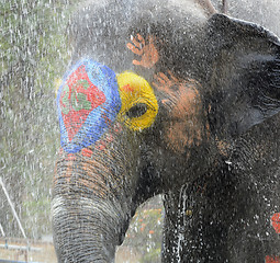 Image showing ASIA THAILAND AYUTTHAYA SONGKRAN FESTIVAL