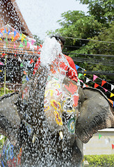 Image showing ASIA THAILAND AYUTTHAYA SONGKRAN FESTIVAL