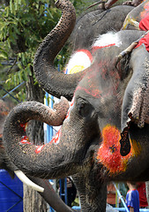 Image showing ASIA THAILAND AYUTTHAYA SONGKRAN FESTIVAL