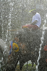 Image showing ASIA THAILAND AYUTTHAYA SONGKRAN FESTIVAL