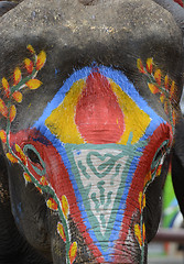 Image showing ASIA THAILAND AYUTTHAYA SONGKRAN FESTIVAL